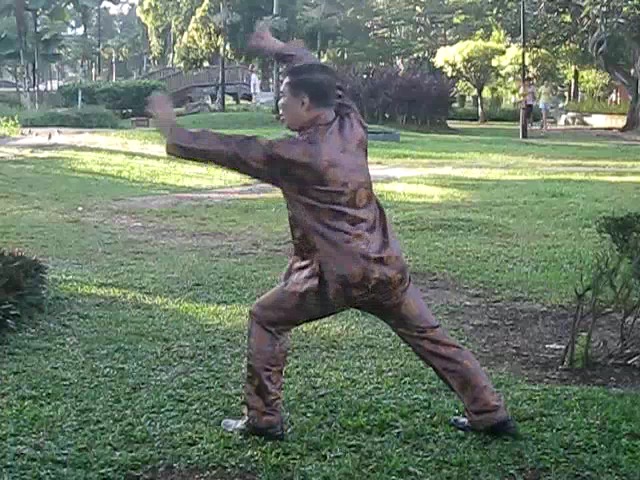 Wu Chuan You Style Taijiquan